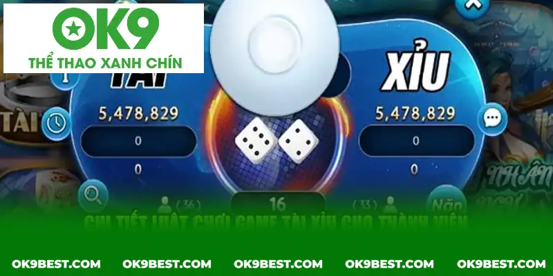 Chi tiết luật cùng một vài quy định, yêu cầu cơ bản cho thành viên