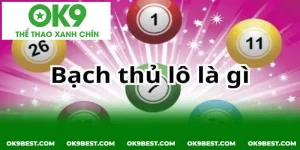 so luoc ve bach thu lo pho bien hien nay